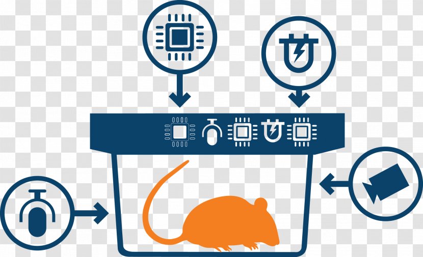 Company Cartoon - Preclinical Development - Sign Symbol Transparent PNG