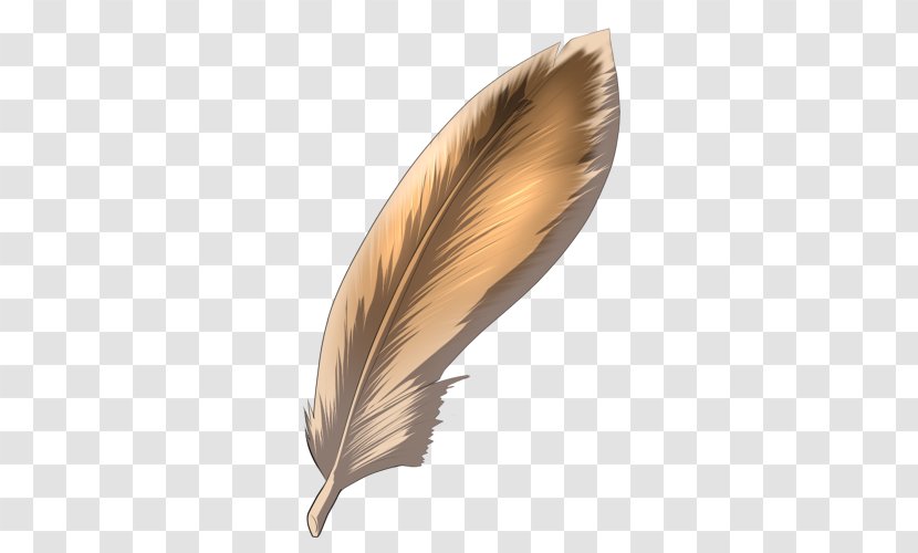 Feather - Quill - Brown Feathers Transparent PNG
