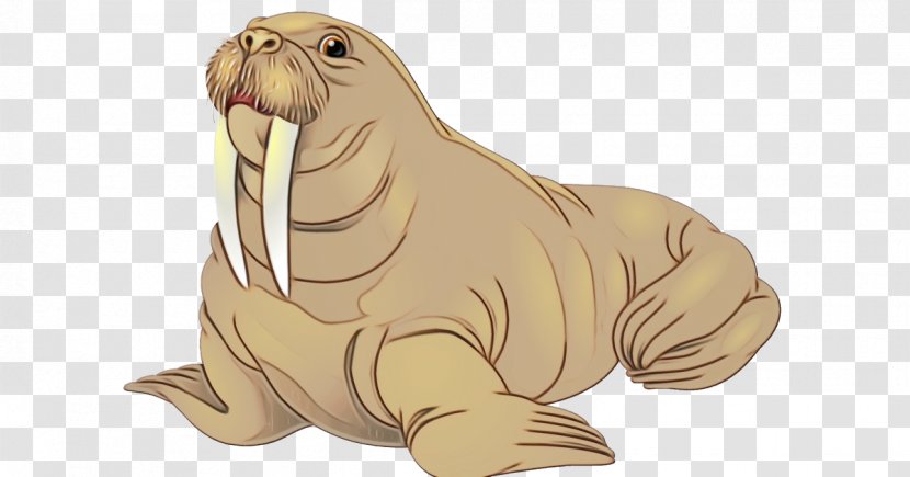 Seal Walrus California Sea Lion Animal Figure Marine Mammal - Paint - Fur Lhasa Apso Transparent PNG