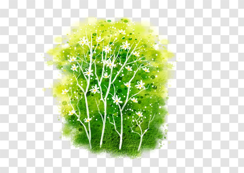 Grass - Herbaceous Plant - Lush Green Transparent PNG