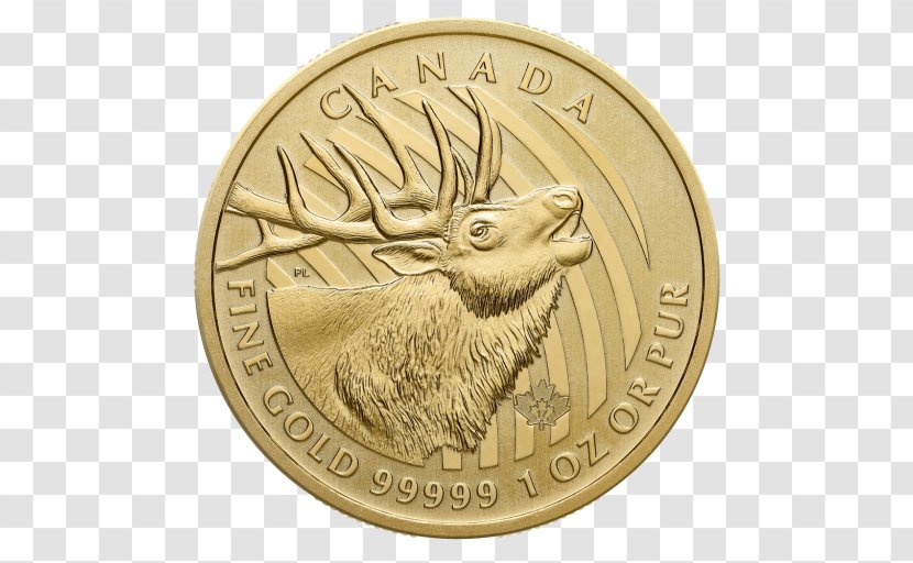 Canada Royal Canadian Mint Gold Coin - Metal Transparent PNG