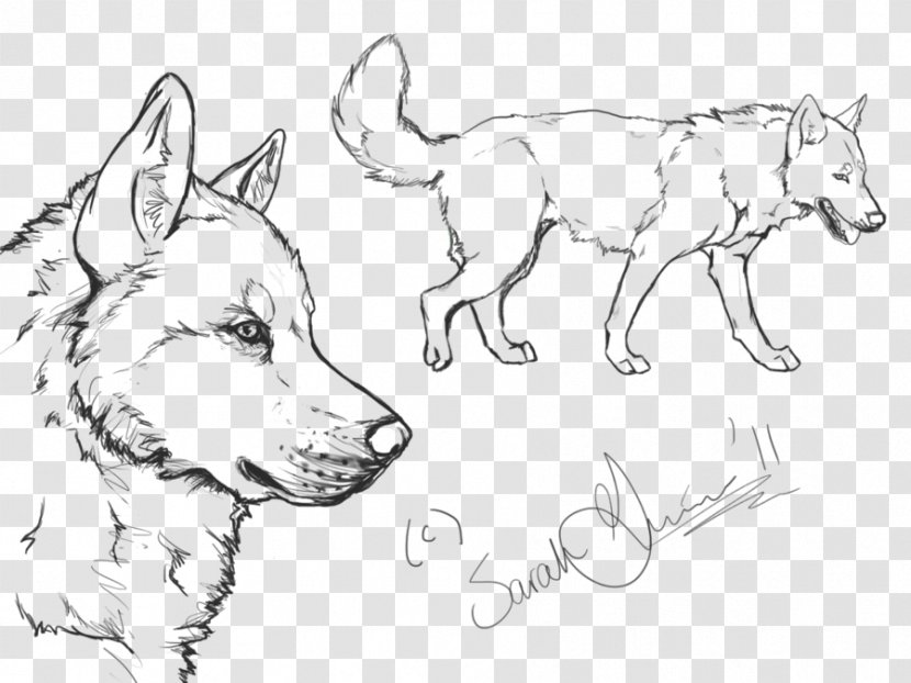 Siberian Husky Puppy Alaskan Malamute Line Art - Coloring Book Transparent PNG