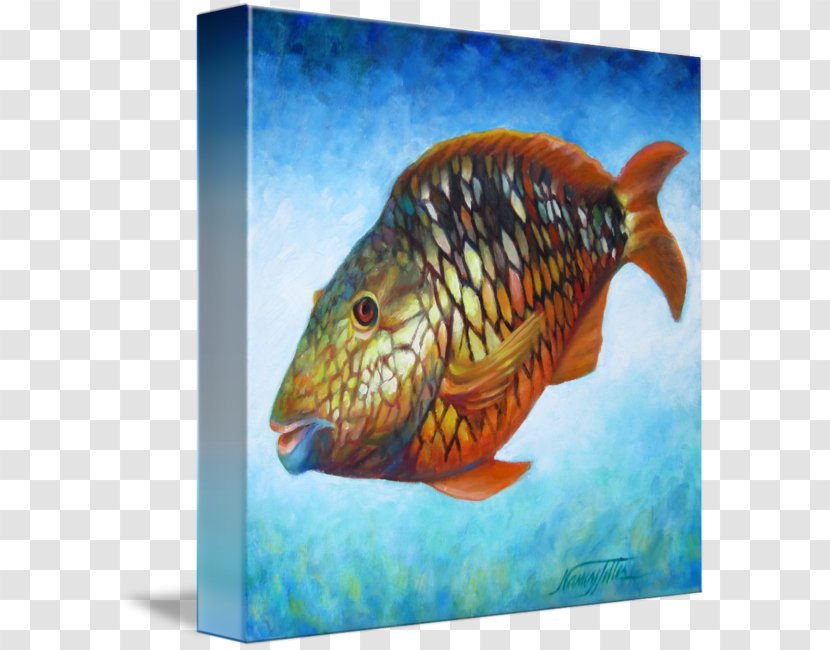 Canvas Print Oil Painting Printing - Wrasse Transparent PNG