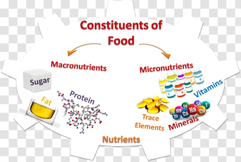 Micronutrient Food Nutrition Health - Diagram Transparent PNG