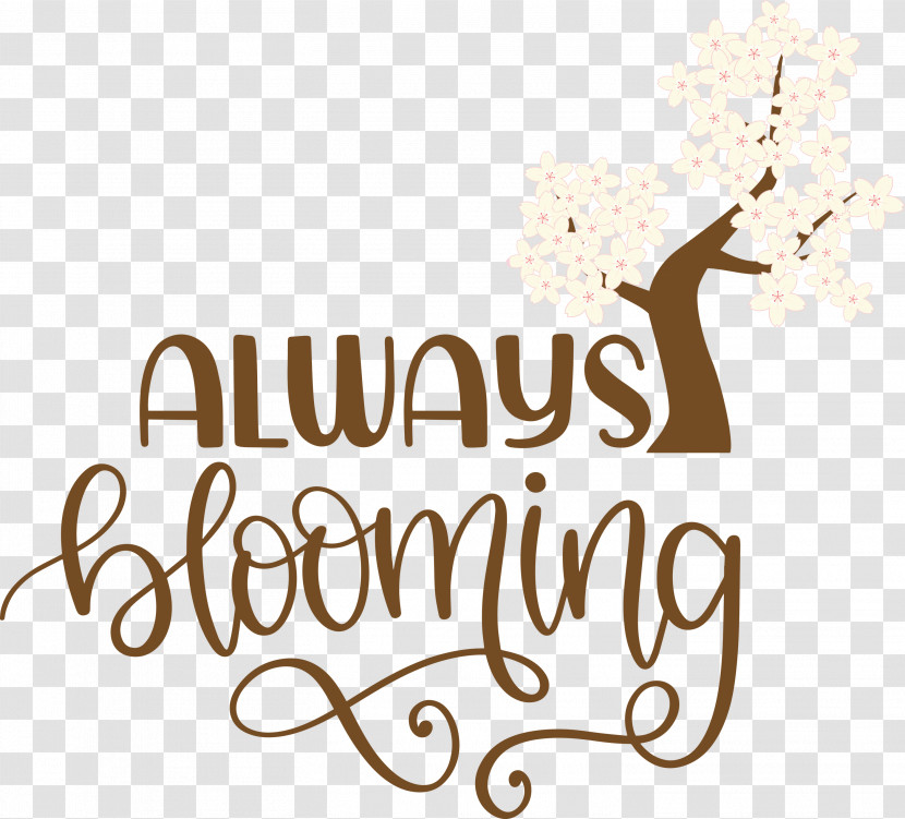 Always Blooming Spring Blooming Transparent PNG