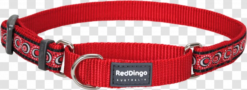 Dingo Dog Collar Martingale Modified Condition/decision Coverage - Red Transparent PNG