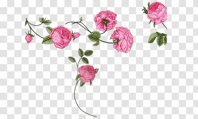 Floral Design Greeting & Note Cards Vector Graphics Flower Rose - Plant Stem - Real Roses Transparent PNG