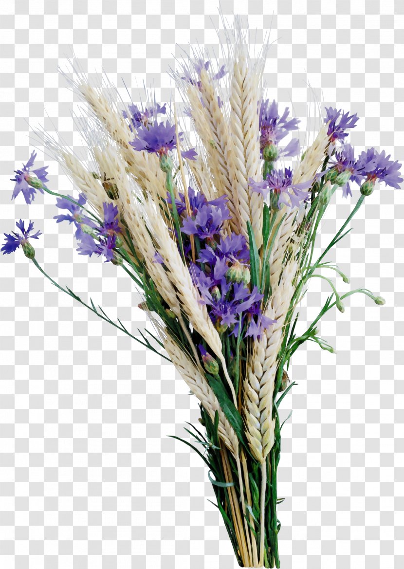 Flowers Background - Grass - Egyptian Lavender Artificial Flower Transparent PNG