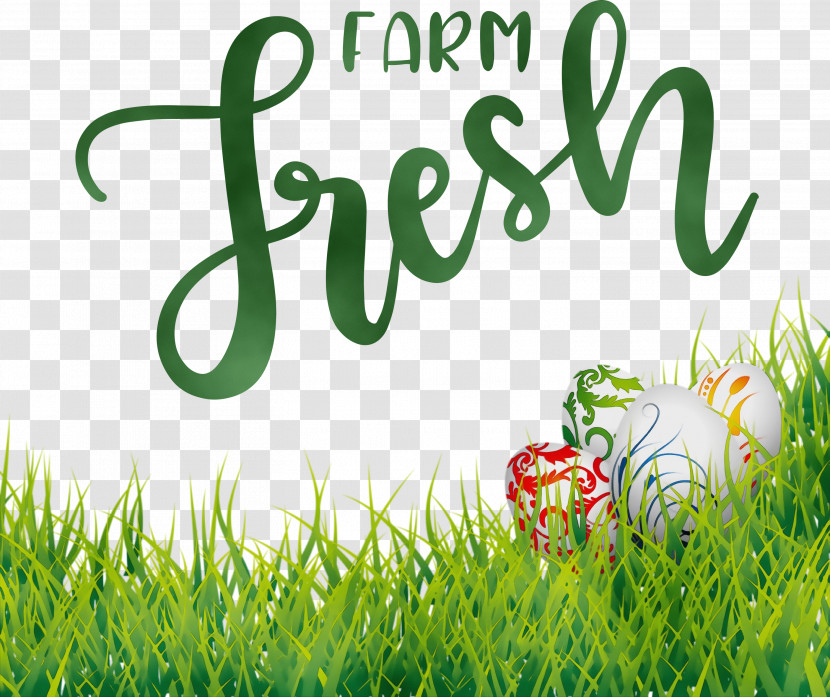 Logo Grasses Font Green Lawn Transparent PNG