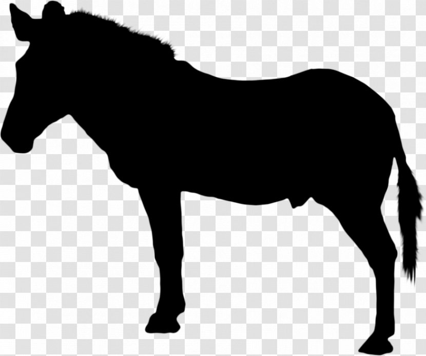 Horse Racing Vector Graphics Silhouette Black - Dressage - Pack Animal Transparent PNG