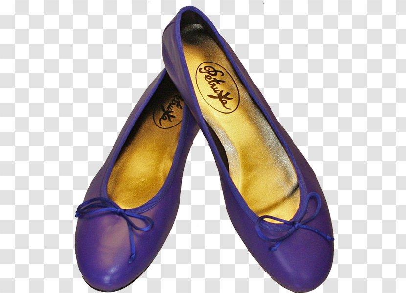 Ballet Flat Shoe Boot Leather Slipper - Blue Transparent PNG