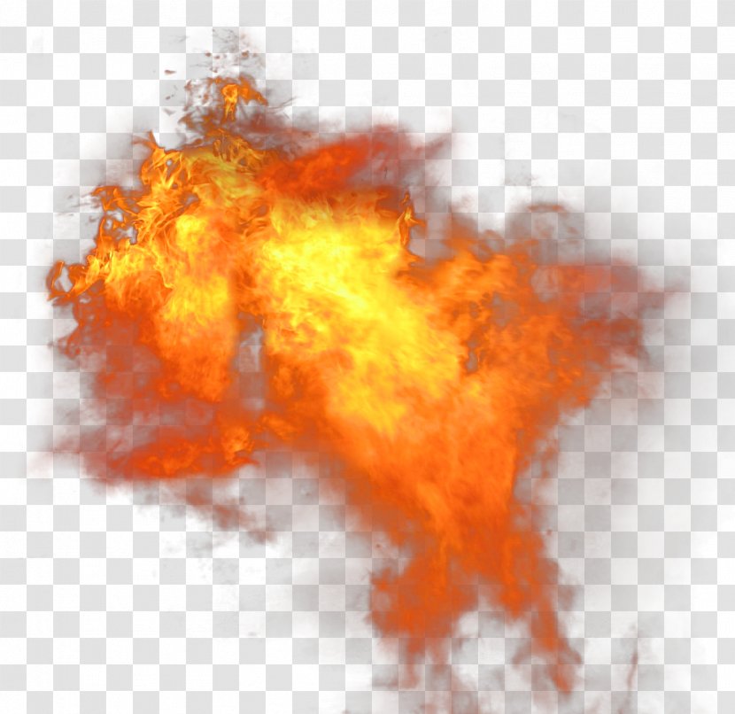 Illinois Fire & Safety Company Flame - Heart Transparent PNG