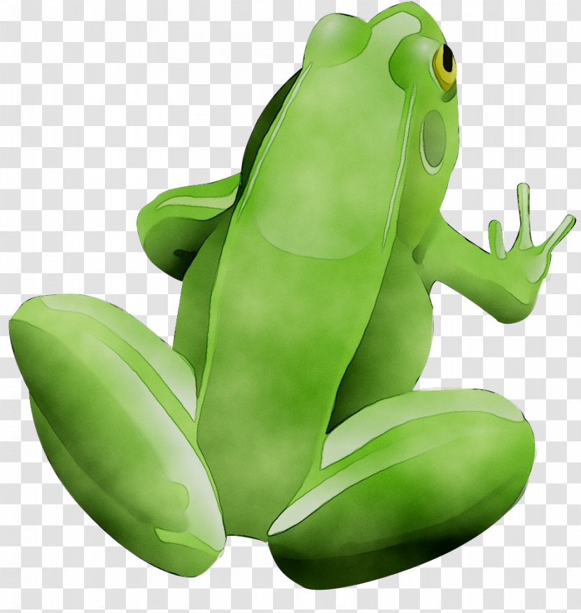 Frog Clip Art Vector Graphics Free Content - Stuffed Toy Transparent PNG
