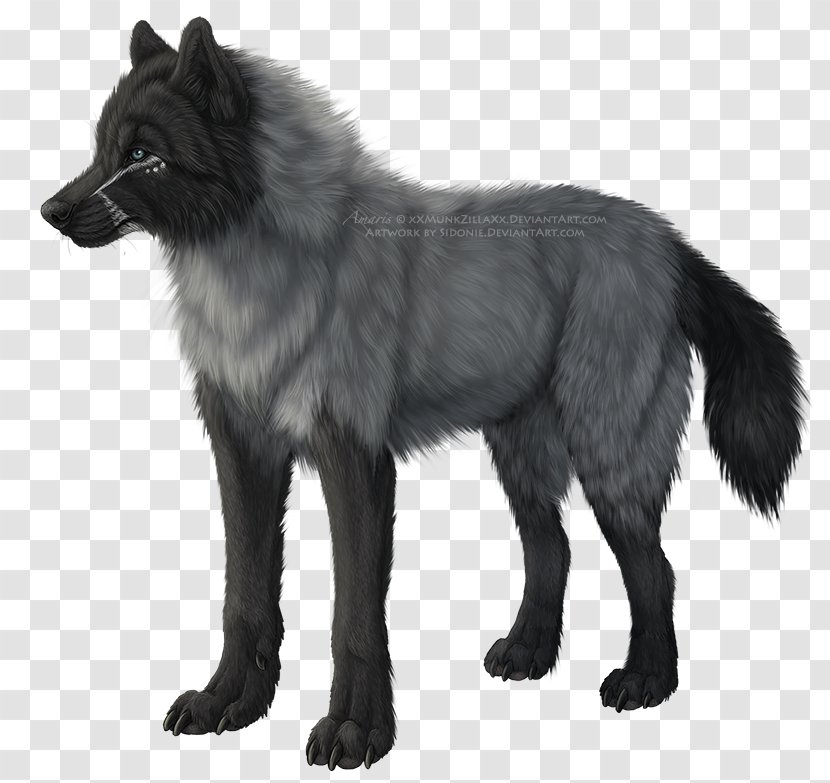 Saarloos Wolfdog Czechoslovakian Kunming Animal - Vanessa Hughes - Black Wolf Transparent PNG