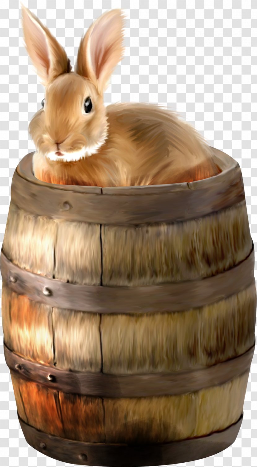 Hare Domestic Rabbit Clip Art - Snout - Kurt Angle Transparent PNG