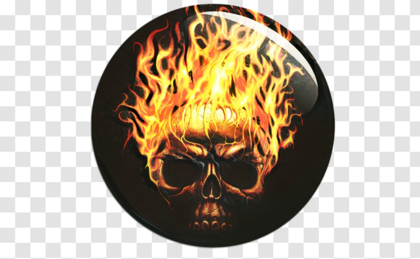 Skull Drawing - Bone Orange Transparent PNG