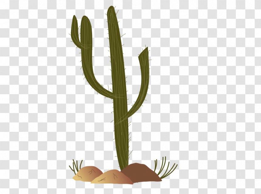 Sonoran Desert Cactaceae Saguaro Clip Art - Cactus Garden - Images Free Transparent PNG