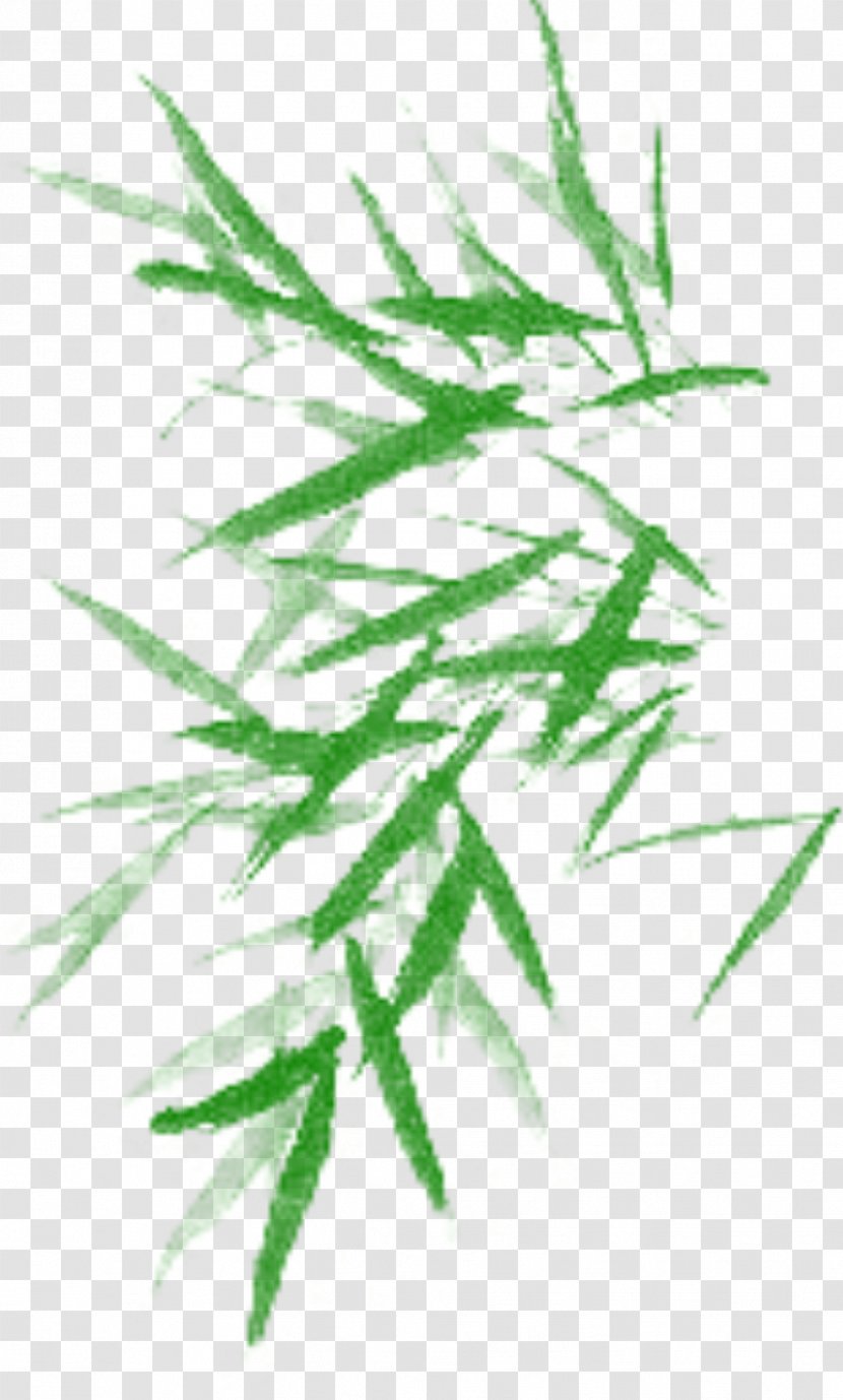 Bamboo Ink Brush Wash Painting - Grass Family - Leaves Transparent PNG