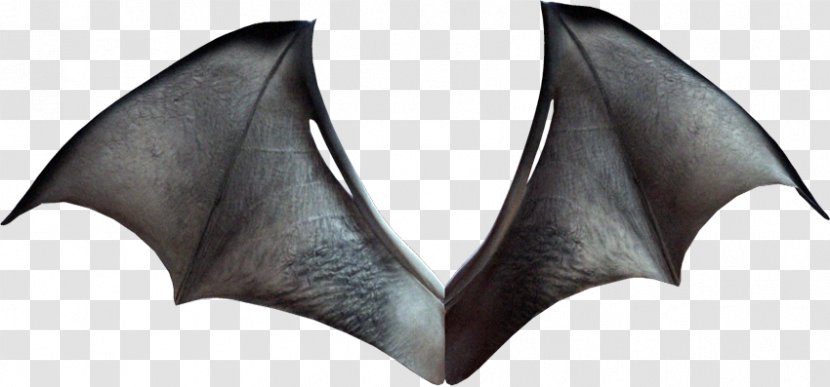 Bat Wing Development Aile Clip Art - Cartoon Transparent PNG