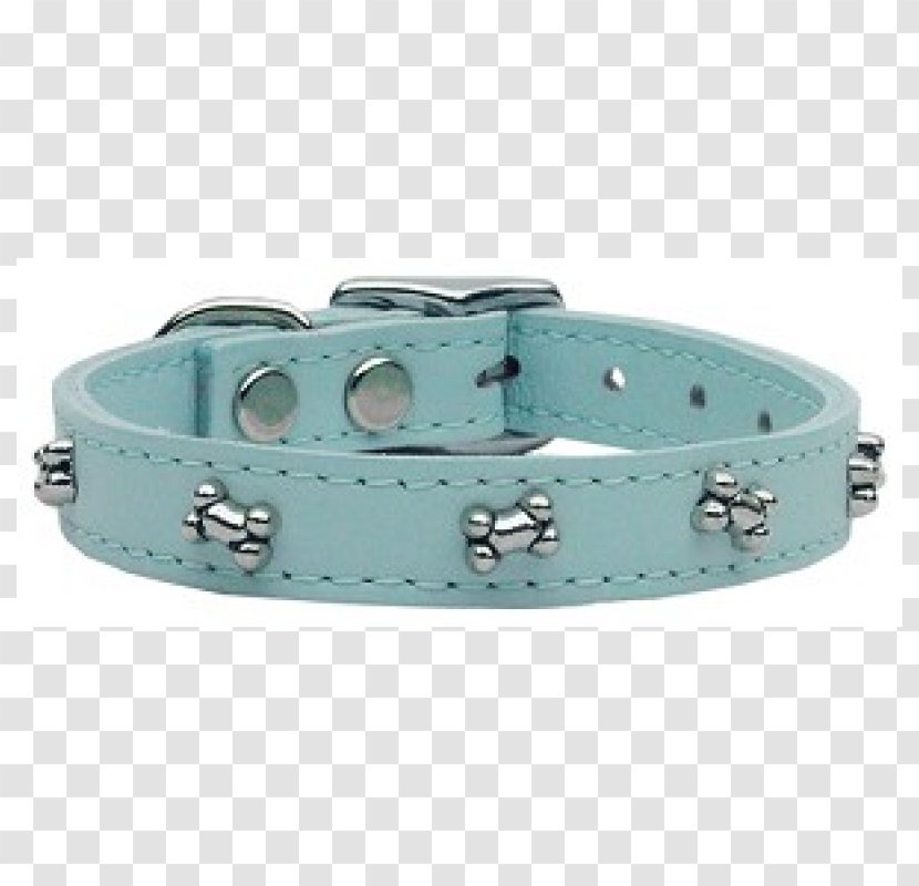 Dog Collar Cat Blue Transparent PNG