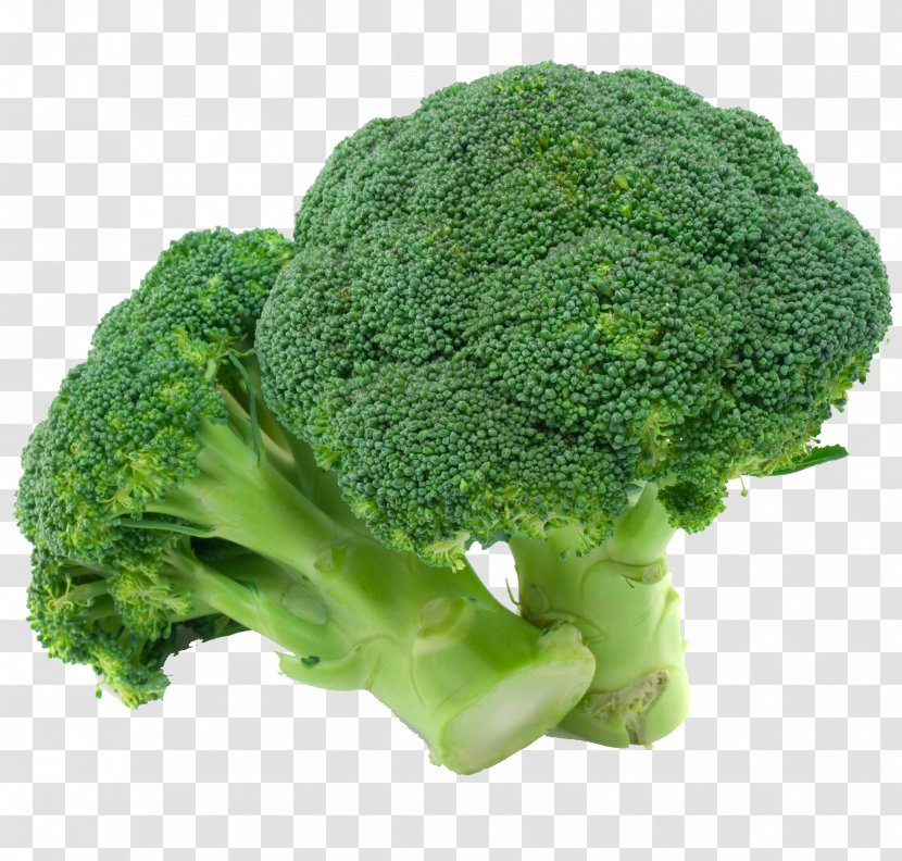 Nutrient Eating Flower Nutrition Fruit - Vegetable - Green Broccoli Picture Material Transparent PNG