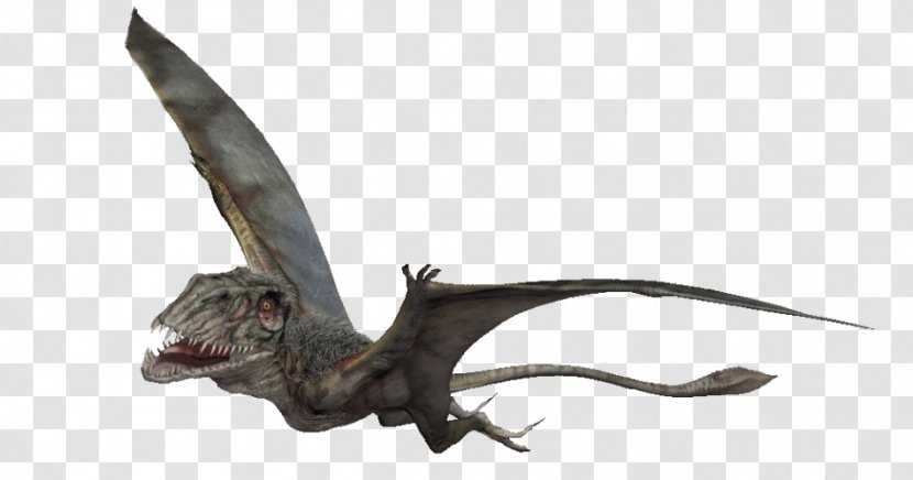 Dimorphodon Velociraptor Dinosaur Darwinopterus Pterosaurs - Triceratops Transparent PNG