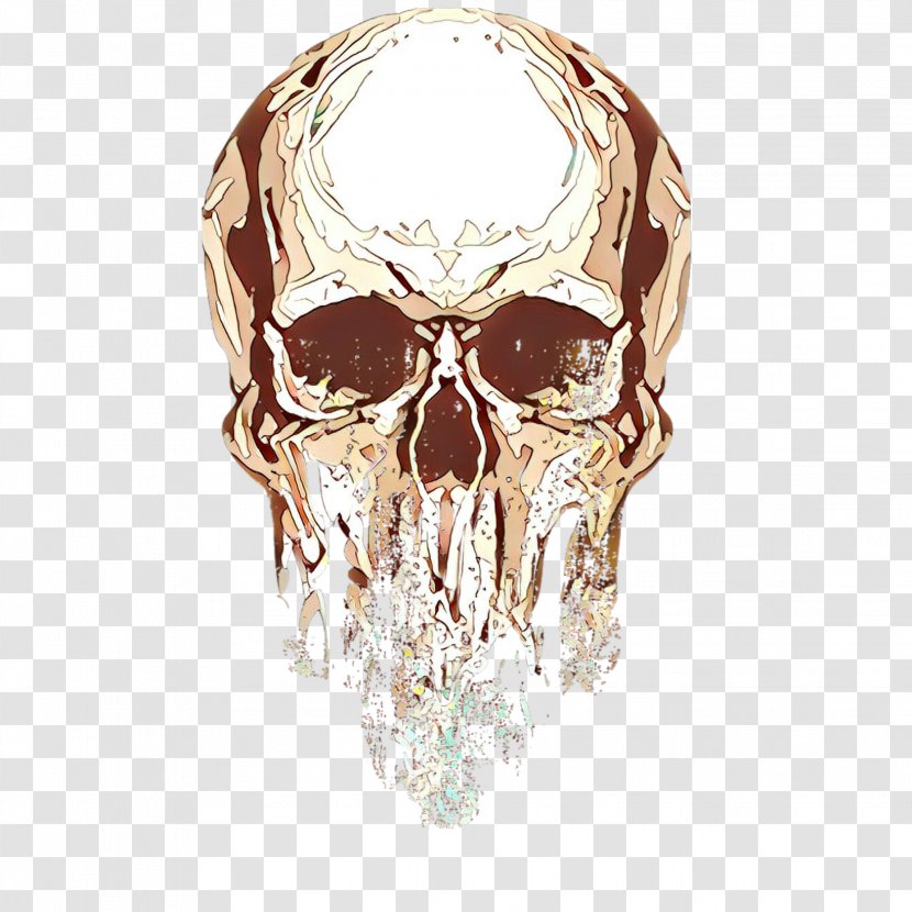 Head Skull Bone Human Jaw - Facial Hair Transparent PNG