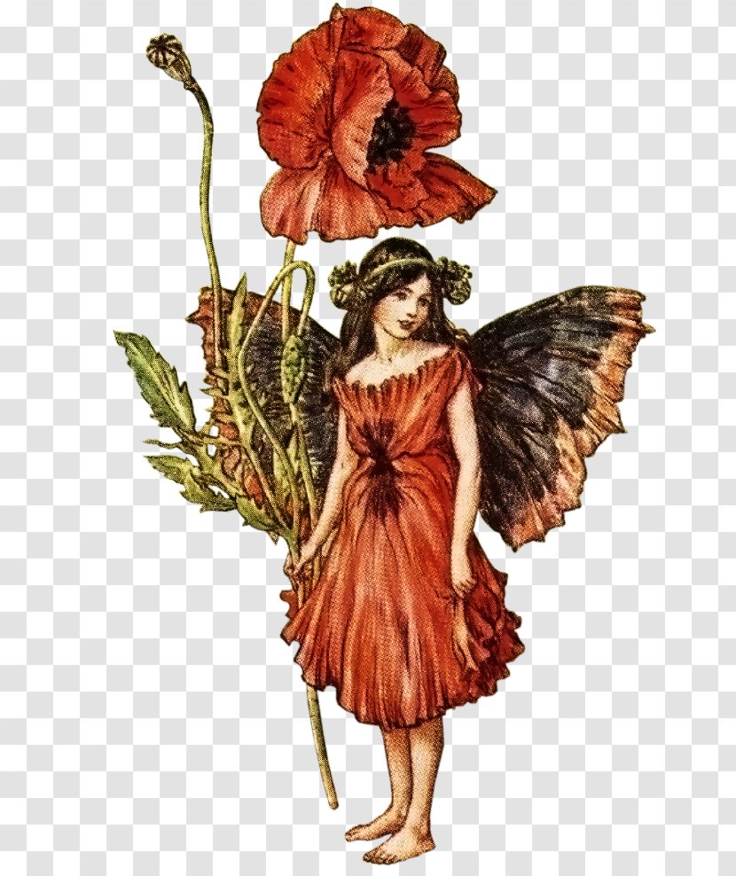 The Book Of Flower Fairies Croydon Summer Spring - Costume Design - Fairy Transparent PNG