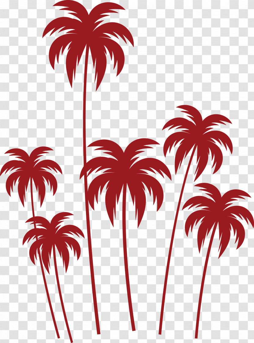 Palm Trees Transparent PNG