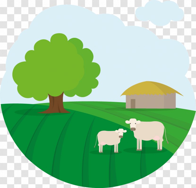 Clip Art Sheep Image Cattle Illustration - Healthy Indian Lunch For Toddlers Transparent PNG
