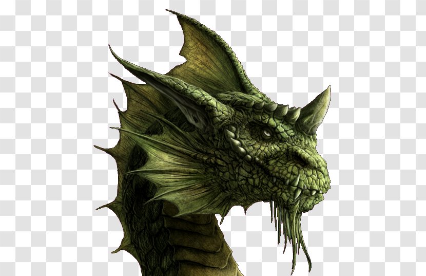 Dragon Fire Breathing Legendary Creature Eragon - Organism Transparent PNG