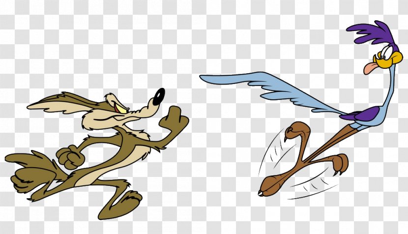 Wile E. Coyote And The Road Runner Looney Tunes Bugs Bunny - Beak Transparent PNG