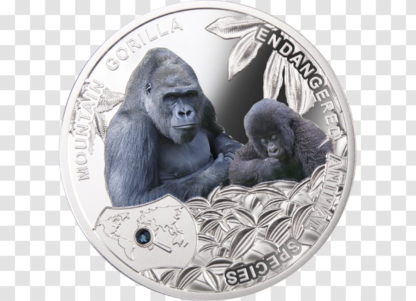 Gorilla Silver Coin Currency Bullion - Mammal Transparent PNG