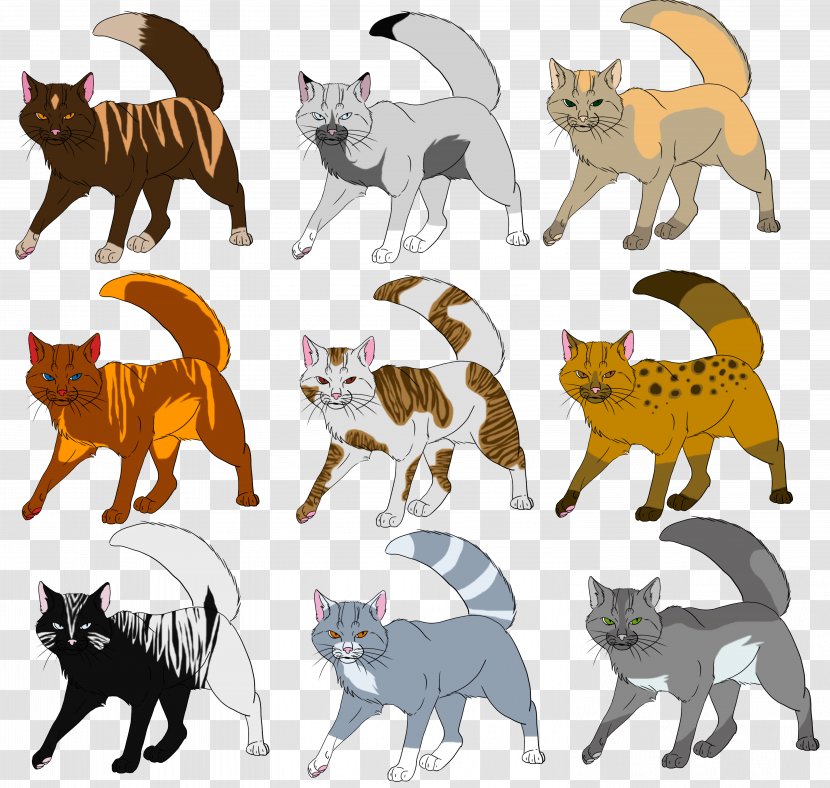 Tonkinese Cat Kitten Warriors Animal Coat Genetics - Breed - Chimera Transparent PNG