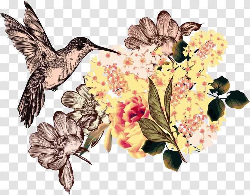 Bee Hummingbird Illustration - Nectar - Vector Honey Transparent PNG