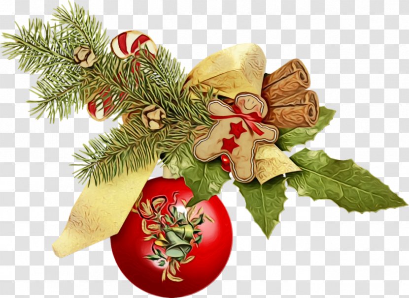 Christmas Decoration - Plant - Pine Family Conifer Transparent PNG