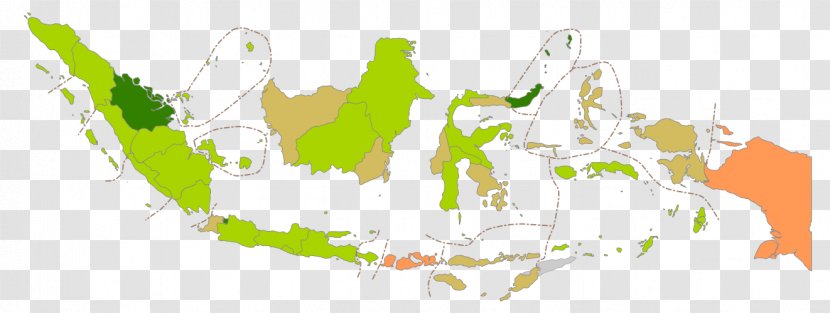 Flag Of Indonesia Vector Map Transparent PNG