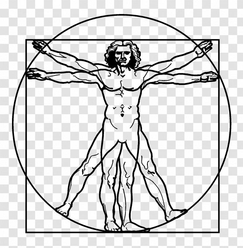 Vitruvian Man Drawing Renaissance Art - Watercolor - Silhouette Transparent PNG