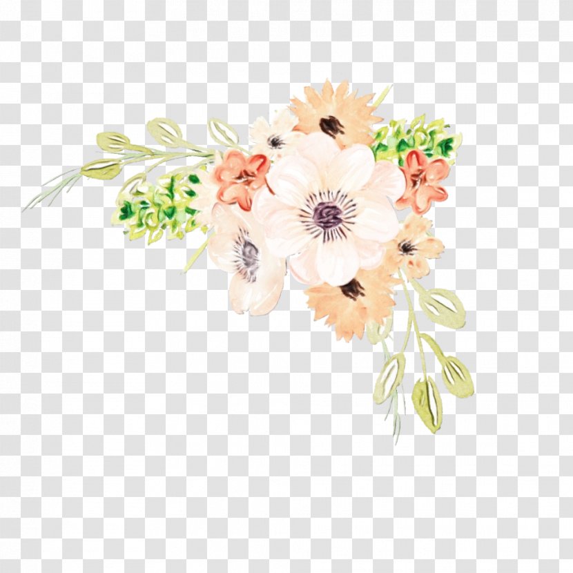 Watercolor Flower Background - Flowering Plant - Gerbera Transparent PNG