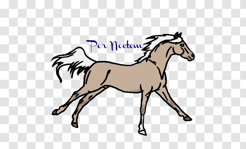 Mustang Foal Stallion Colt Bridle - Mane - Arabian Horse Transparent PNG