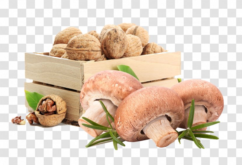 Walnut Juglans Food Drink Agy - Health - Mushrooms And Walnuts Transparent PNG