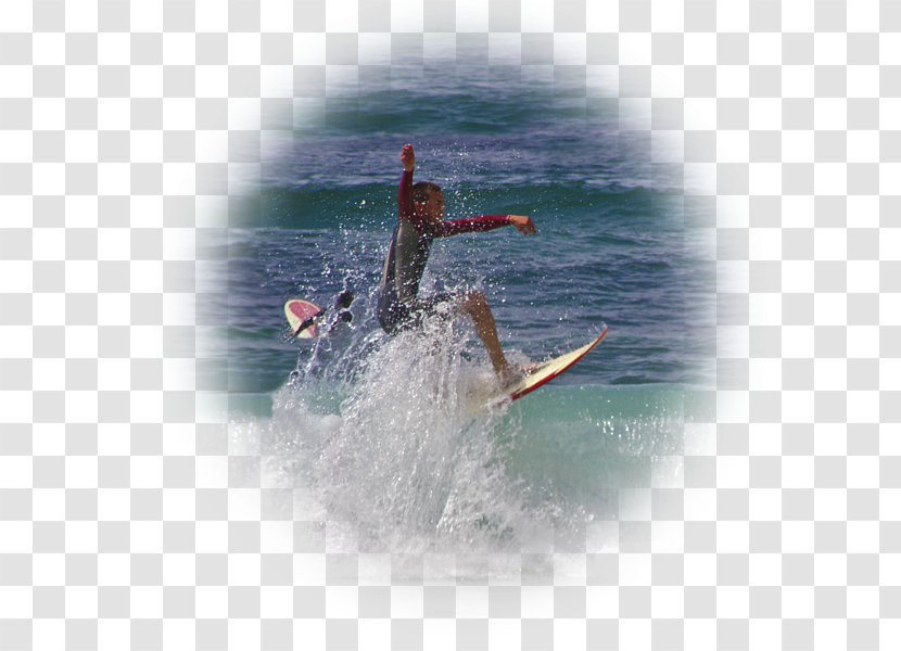 Wakesurfing Surfboard Bodyboarding Birthday - Surfing Transparent PNG