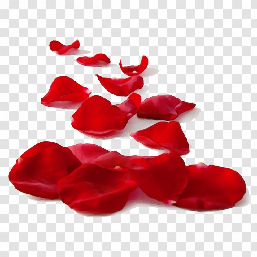 Valentines Day Heart - Towel - Petal Red Transparent PNG