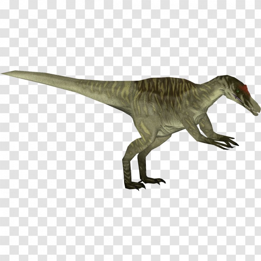 Zoo Tycoon 2 Tyrannosaurus Baryonyx Dinosaur Iguanodon - Wikia - Jurassic Park Transparent PNG