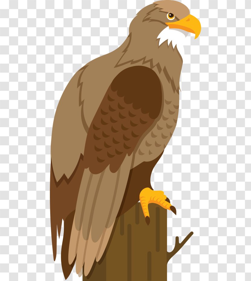 Bald Eagle Hawk Cartoon Illustration - Vector Stump Transparent PNG