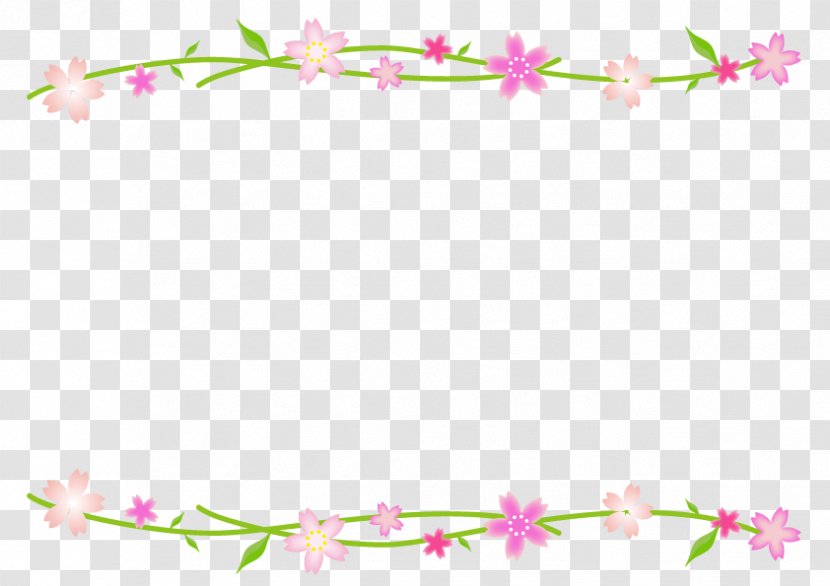 Simple Cherry Blossom Frame. - Petal - Plant Transparent PNG