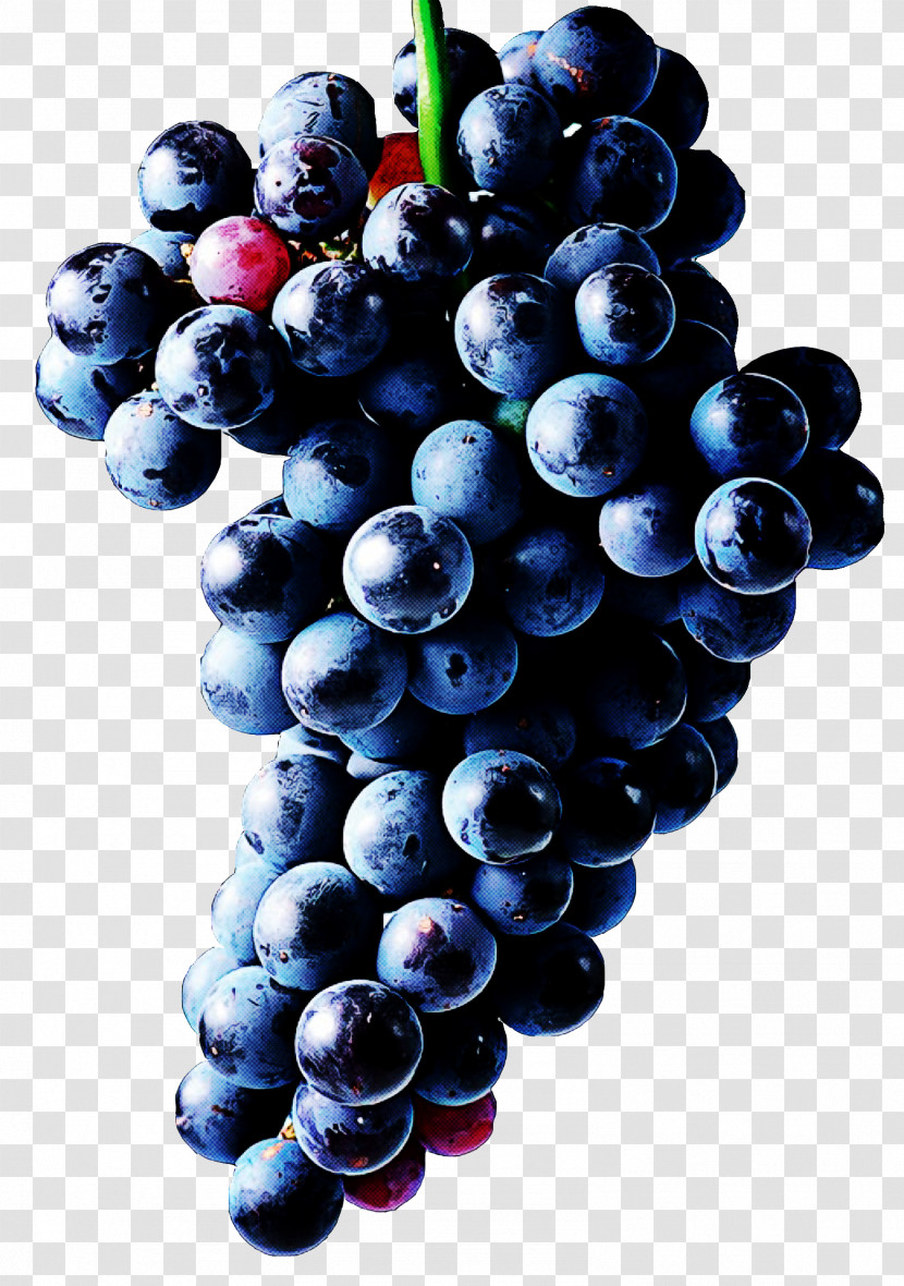 Grape Fruit Seedless Fruit Grapevine Family Berry Transparent PNG