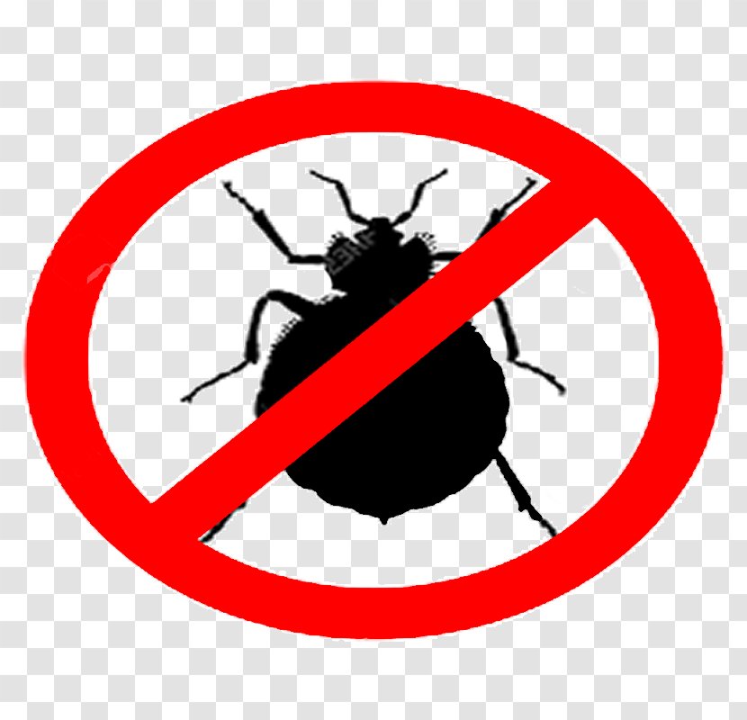 Bed Bug Bite Mattress Encasements Pest Control Techniques Transparent PNG