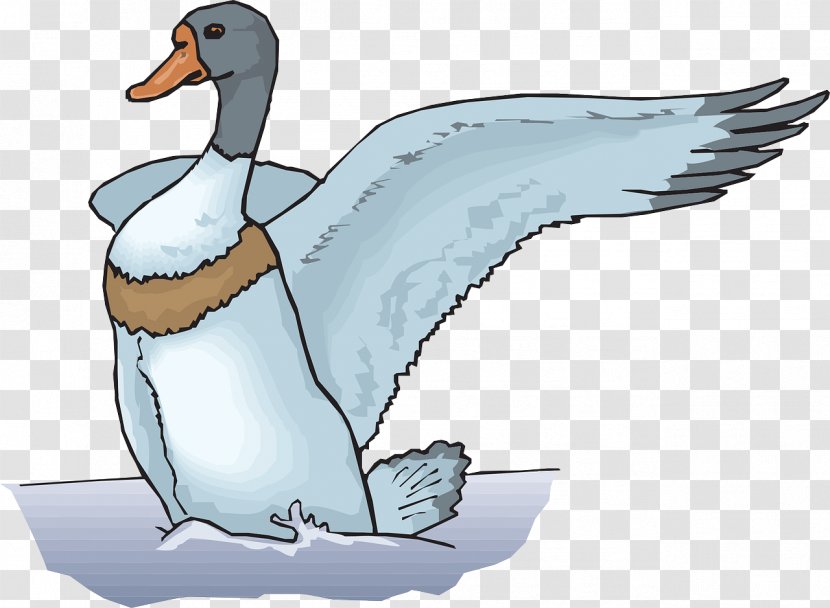 The Ugly Duckling Goose Clip Art - Wildlife - Duck Transparent PNG