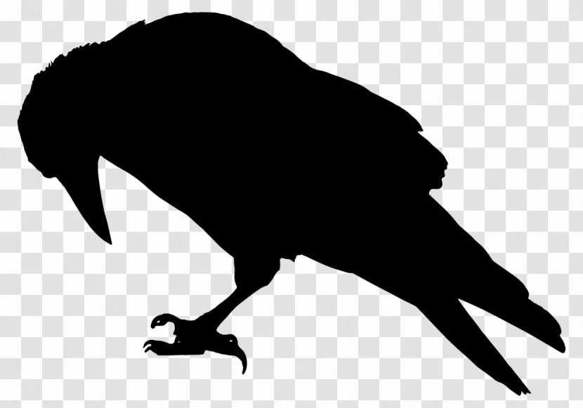 The Raven Bird Common Crow Family Clip Art - Organism Transparent PNG